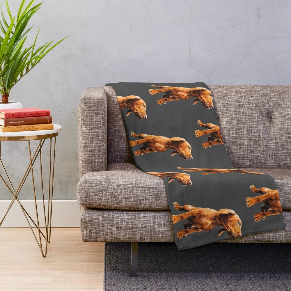 Vizsla puppy face on a plush, soft blanket