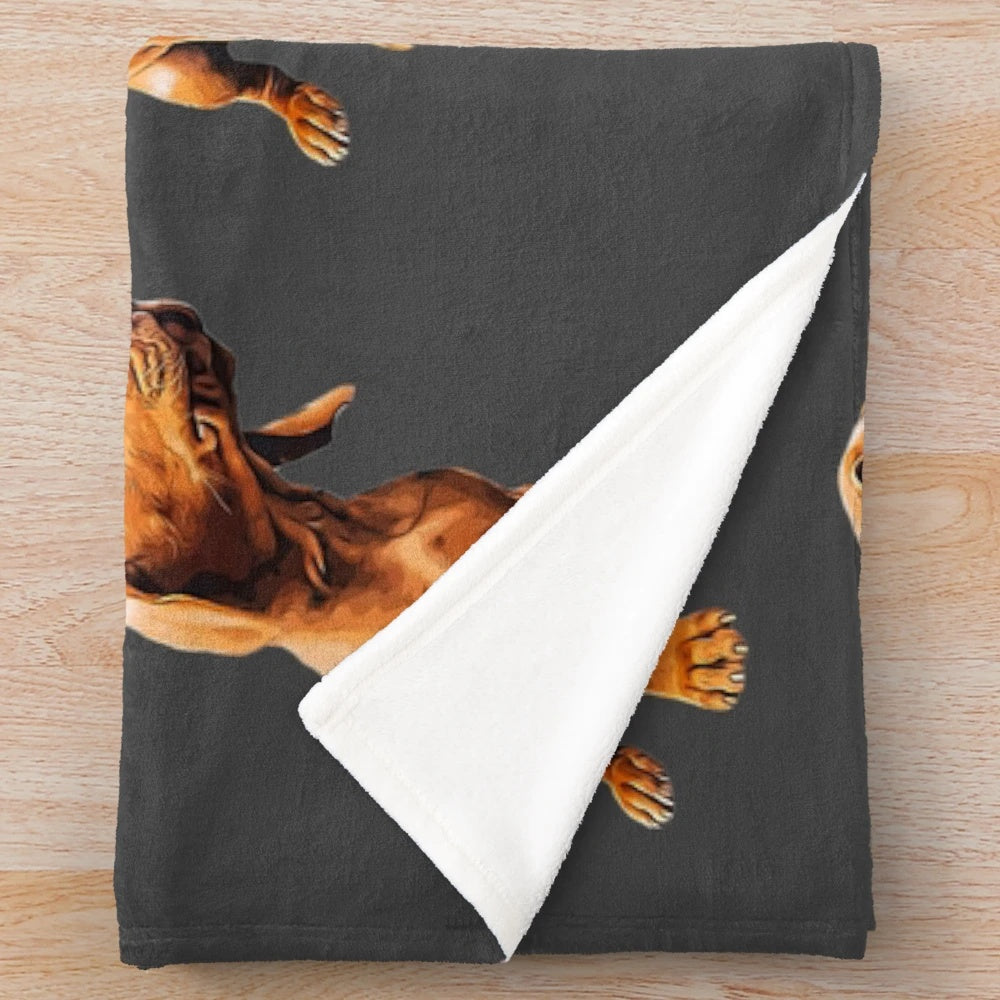 Vizsla puppy face on a plush, soft blanket