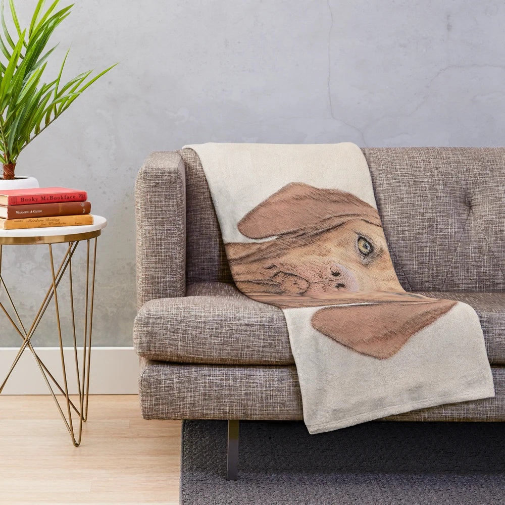 Vizsla dog portrait on a cozy plush blanket