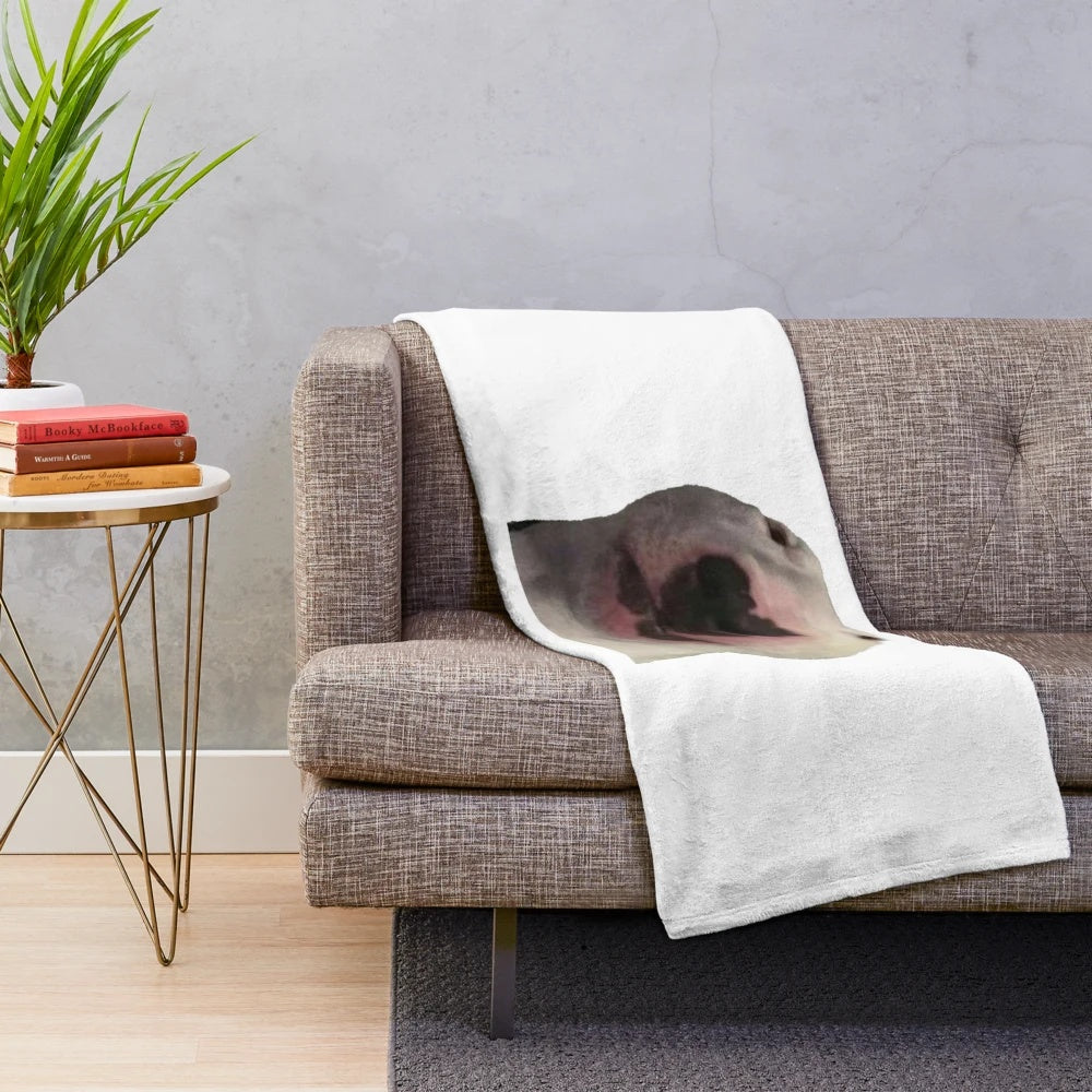 Soft and cuddly plush blanket featuring the popular Walter the Dog meme