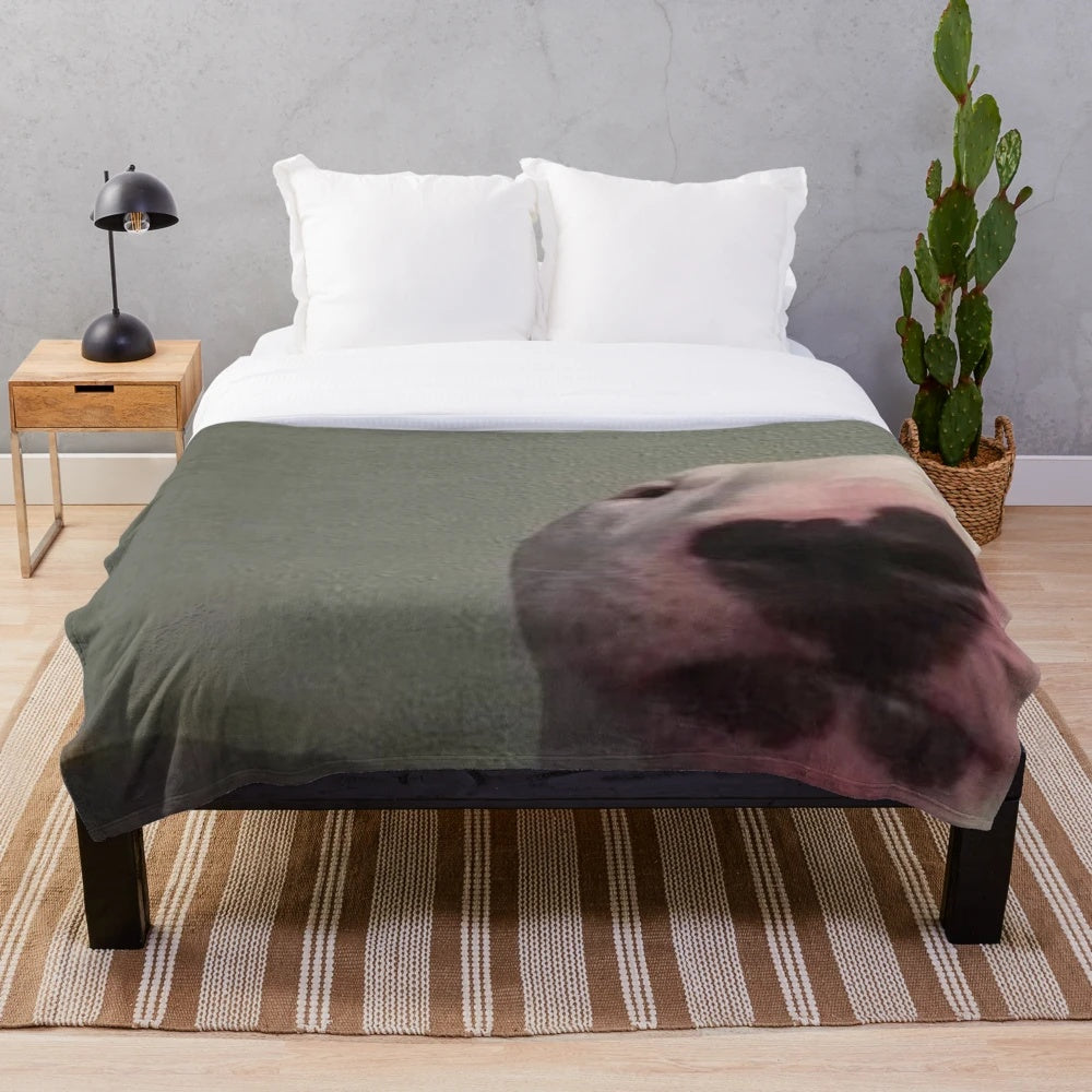 Soft and cuddly plush blanket featuring the popular Walter the Dog meme
