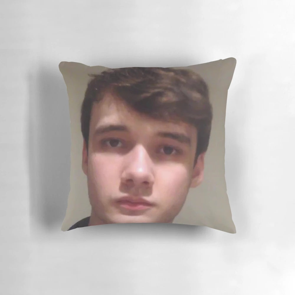 Soft, plush pillow featuring the Twitch streamer Wilbur Soot's logo and branding