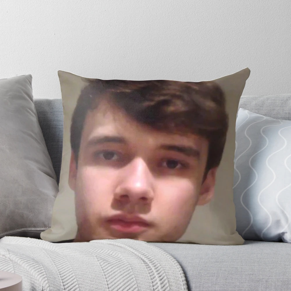 Soft, plush pillow featuring the Twitch streamer Wilbur Soot's logo and branding