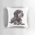 Soft, plush pillow featuring a wire haired dachshund design