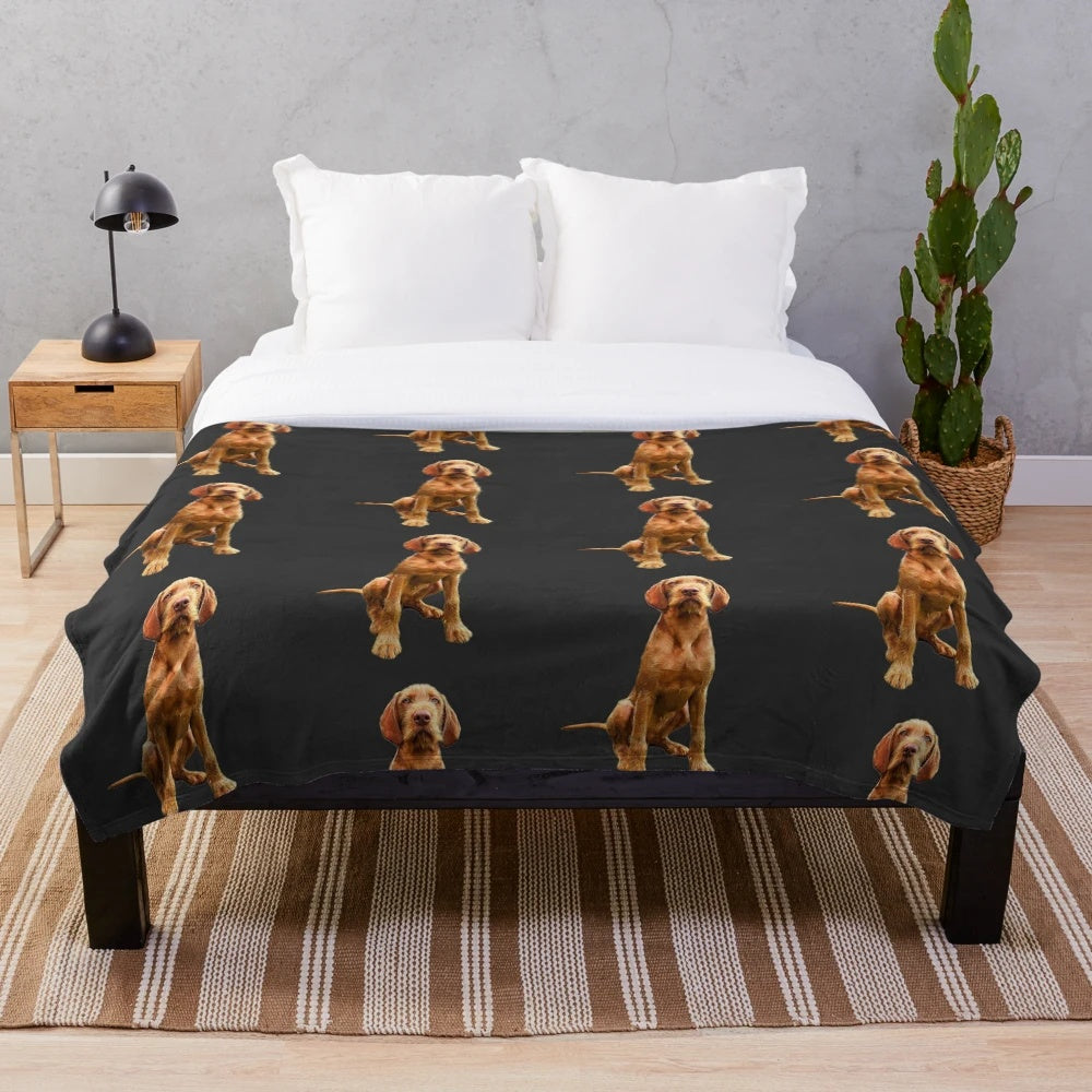 Wirehaired Vizsla dog breed on a plush blanket