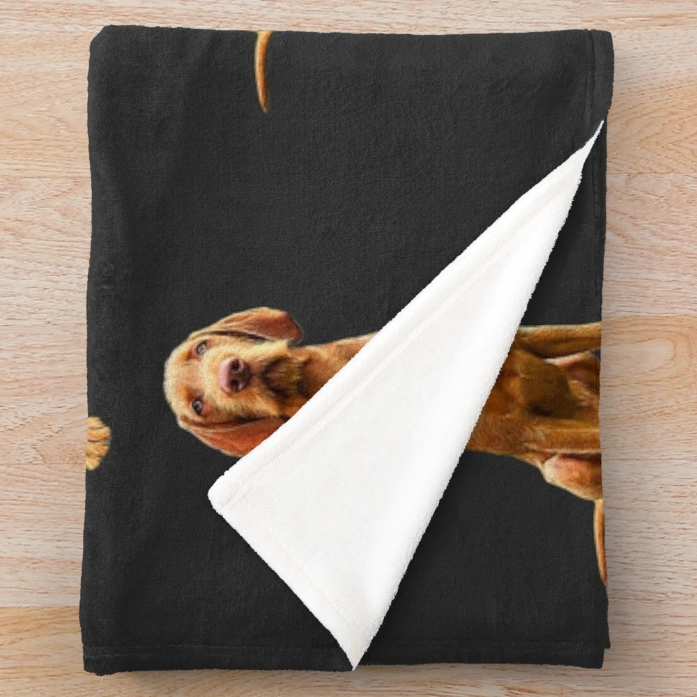 Wirehaired Vizsla dog breed on a plush blanket