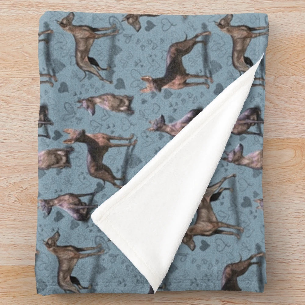 Xoloitzcuintli dog breed plush blanket