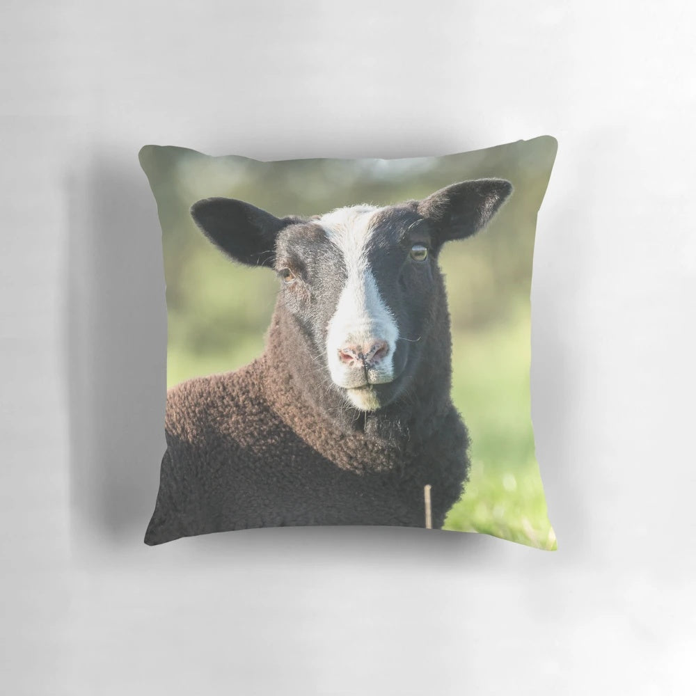 Soft, plush pillow featuring a print of a Zwartbles lamb on a farmhouse-style background.