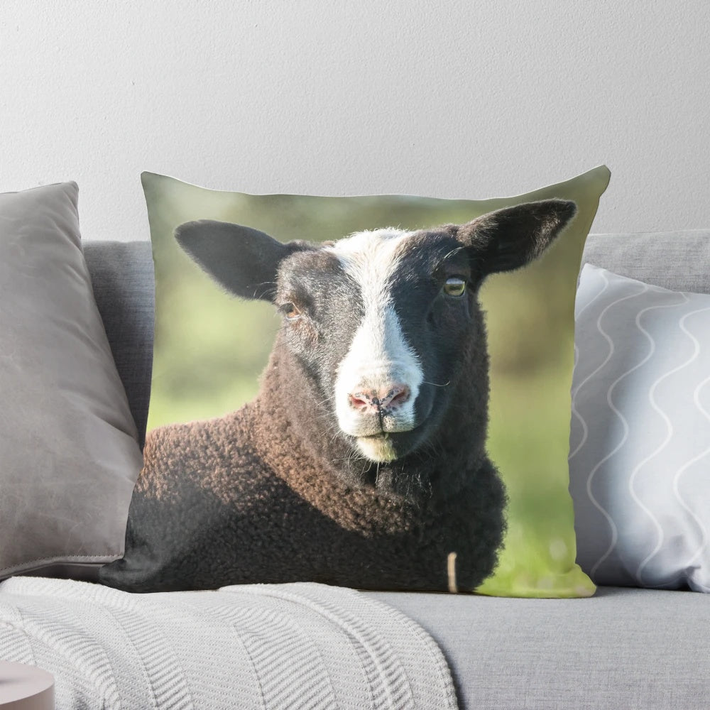 Soft, plush pillow featuring a print of a Zwartbles lamb on a farmhouse-style background.