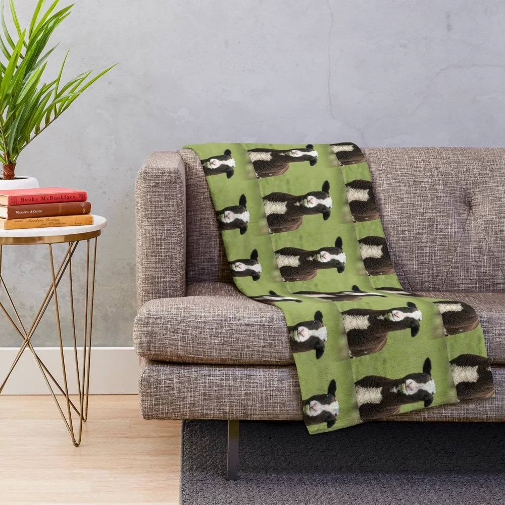 Zwartbles lamb plush blanket in a cozy brown color
