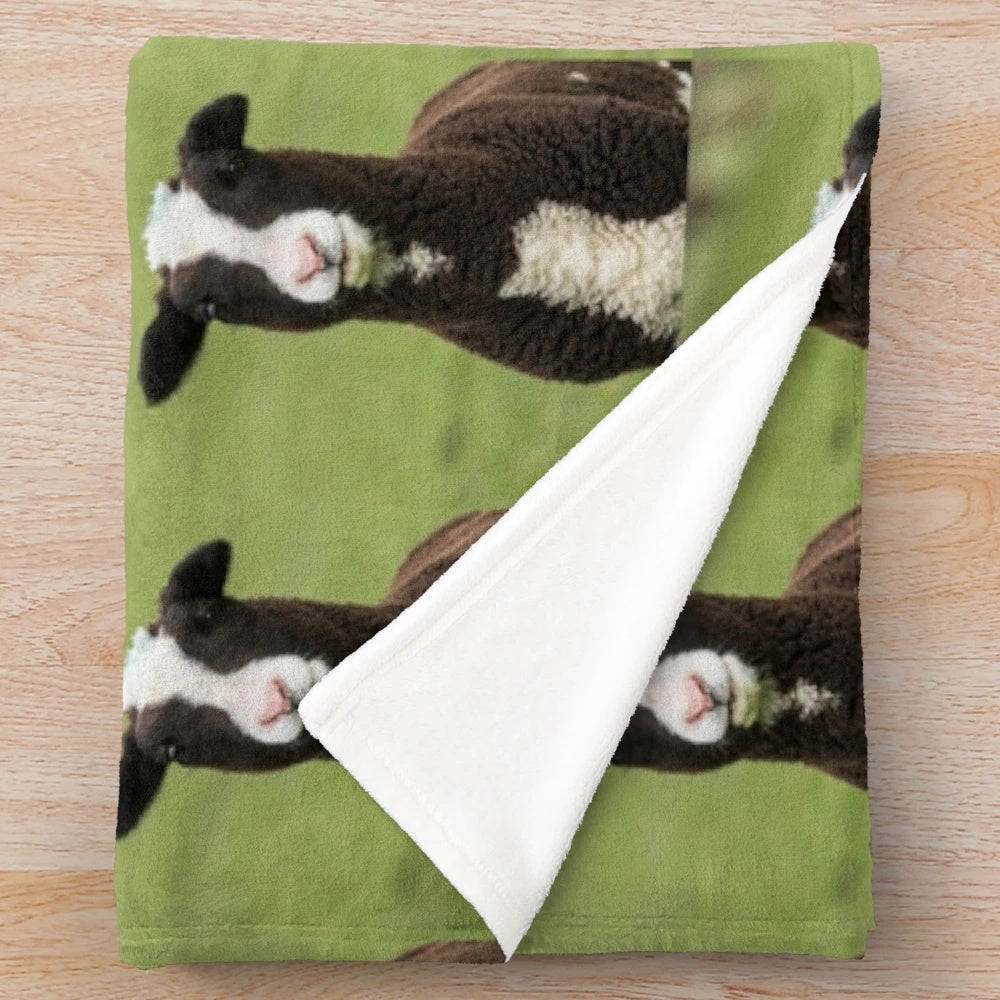 Zwartbles lamb plush blanket in a cozy brown color