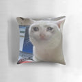 Soft, plush pillow featuring a crying cat meme design, perfect for cat lovers and meme enthusiasts.