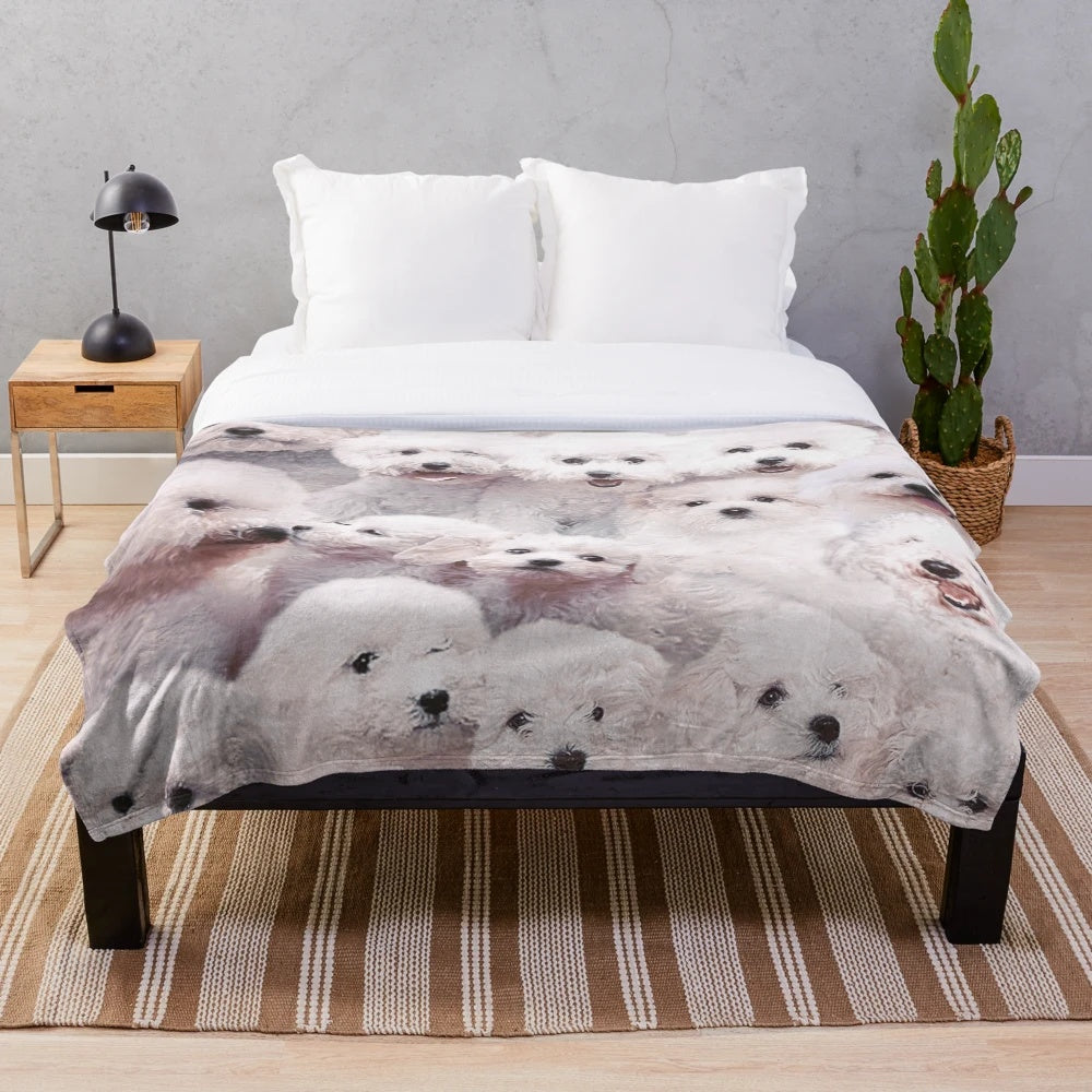 Bichons and Maltese dogs on a plush, soft blanket