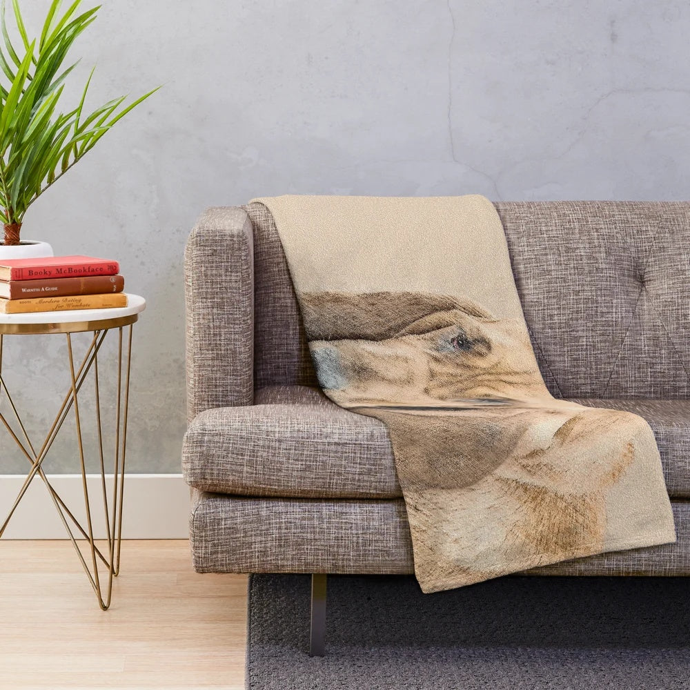 Cozy bloodhound plush blanket with the breed's distinctive red and black tan markings