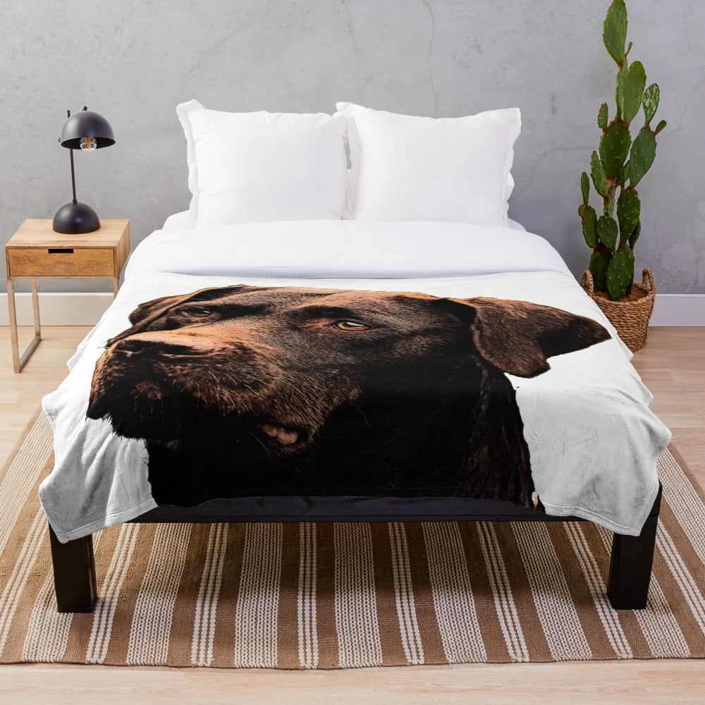 Soft and cozy chocolate labrador plush blanket