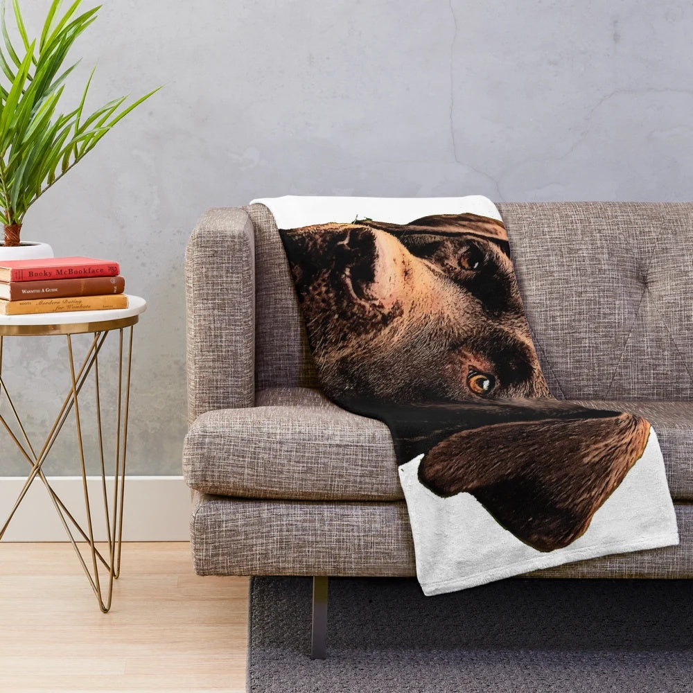 Soft and cozy chocolate labrador plush blanket