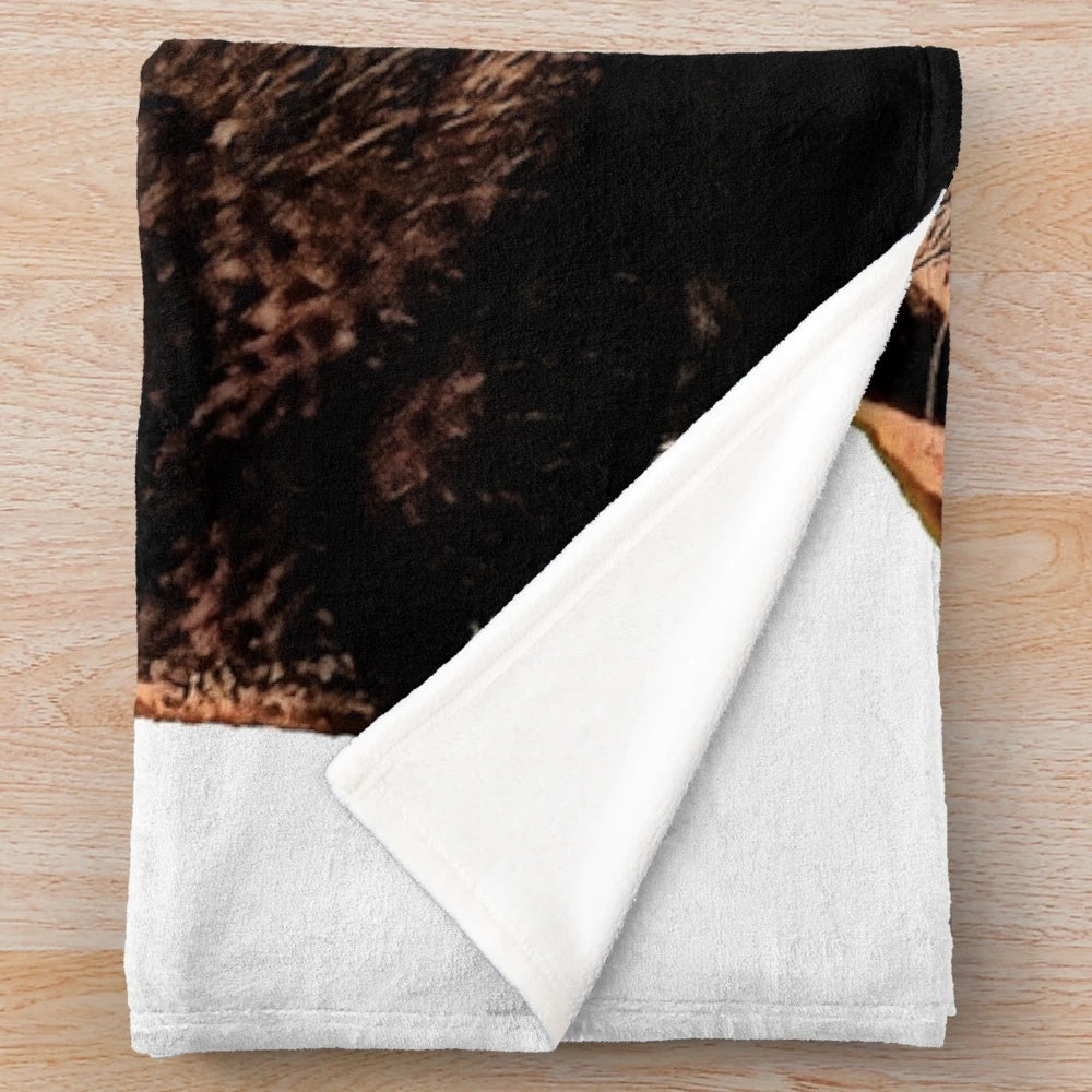 Soft and cozy chocolate labrador plush blanket