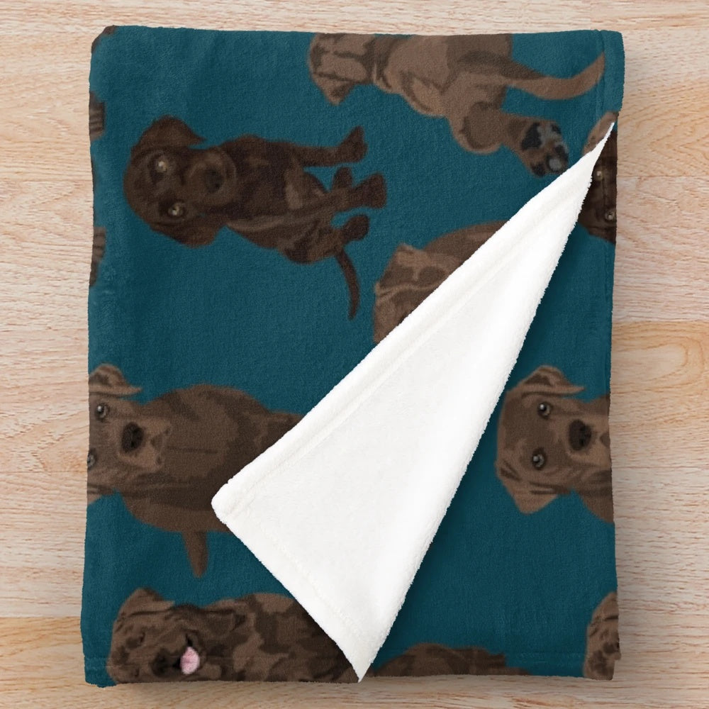 Chocolate Labrador Retriever on a soft plush blanket