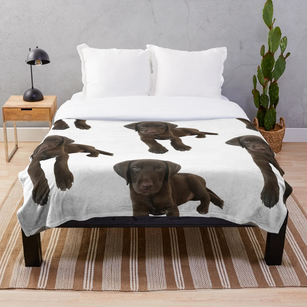 Chocolate Labrador Plush Blanket