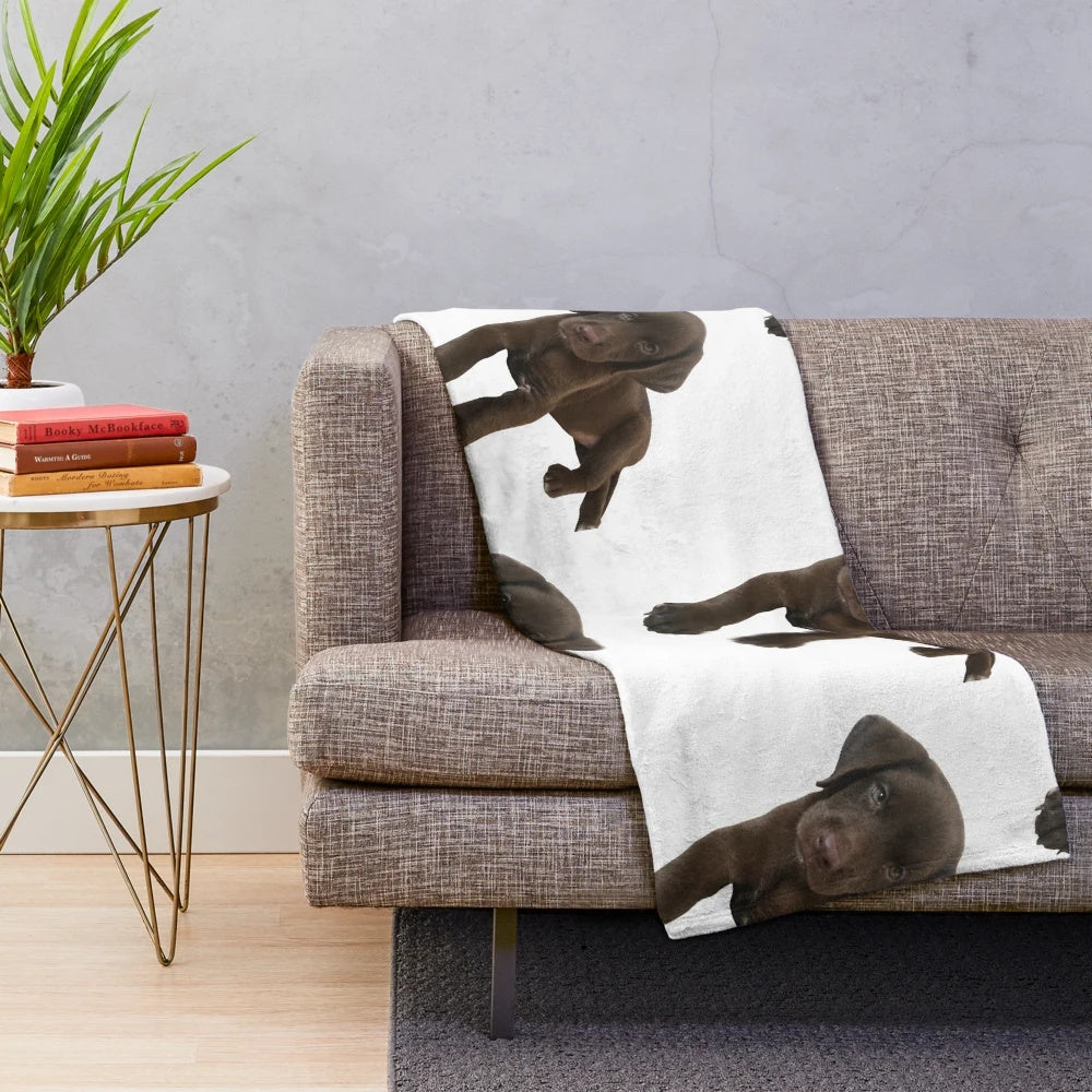 Chocolate Labrador Plush Blanket