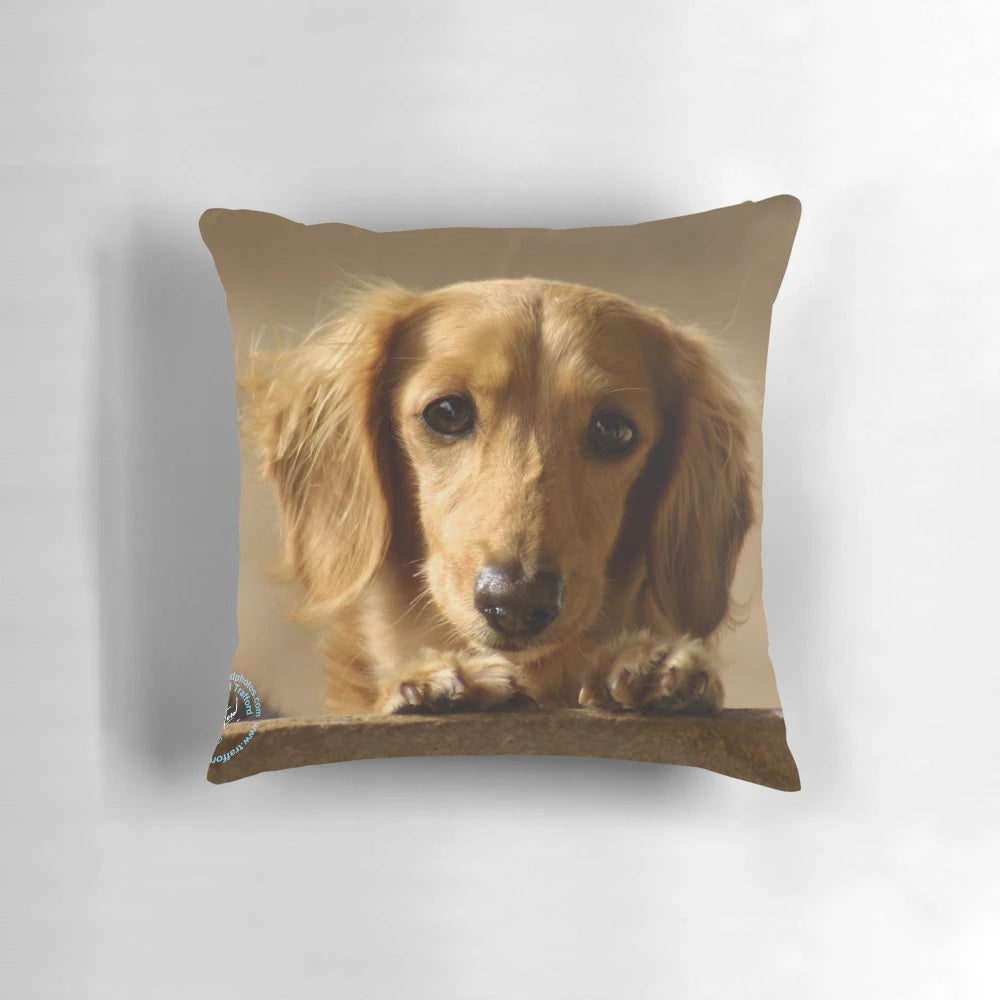 Plush dachshund pillow in a cozy long-haired design, perfect for dog owners and animal lovers