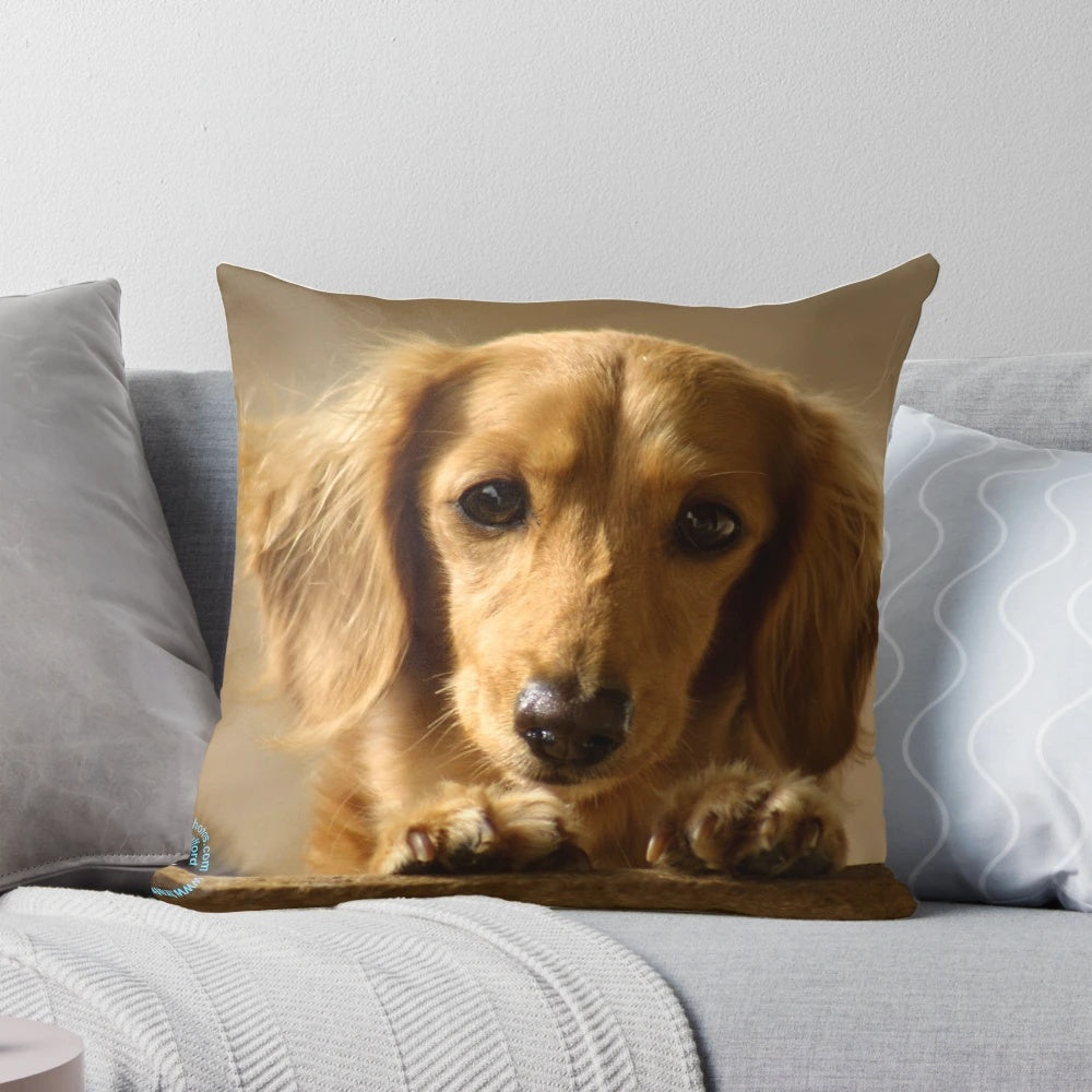 Plush dachshund pillow in a cozy long-haired design, perfect for dog owners and animal lovers
