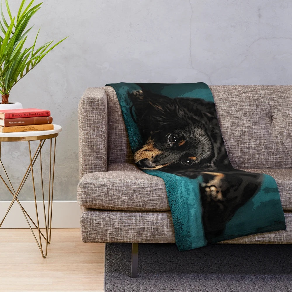 Soft and cozy dachshund plush blanket for pet owners