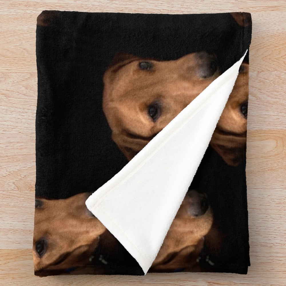Soft and cozy plush blanket featuring an adorable fox red labrador puppy