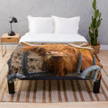 Cozy plush blanket featuring a cute, furry Scottish Highland cow in a ginger color