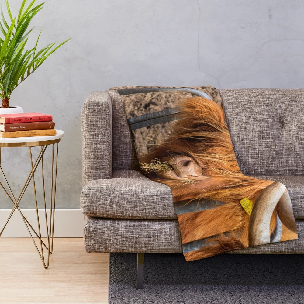Cozy plush blanket featuring a cute, furry Scottish Highland cow in a ginger color