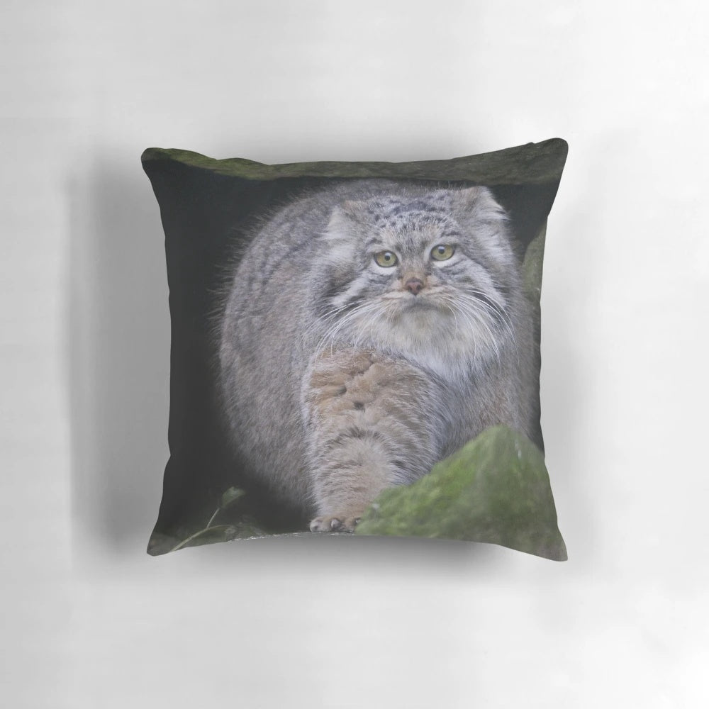 Soft, realistic plush pillow in the shape of a pallas cat, also known as a manul.