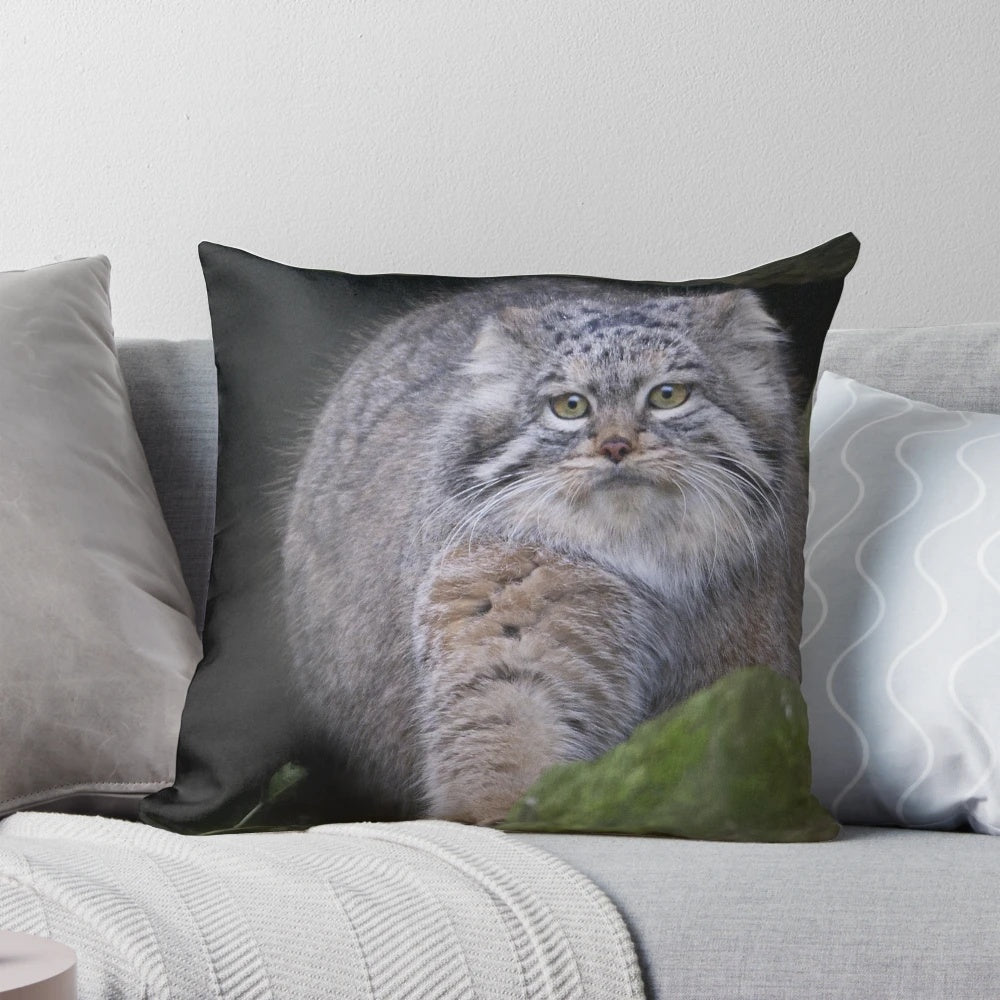 Soft, realistic plush pillow in the shape of a pallas cat, also known as a manul.