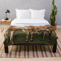 Plush blanket with curious jersey cows design