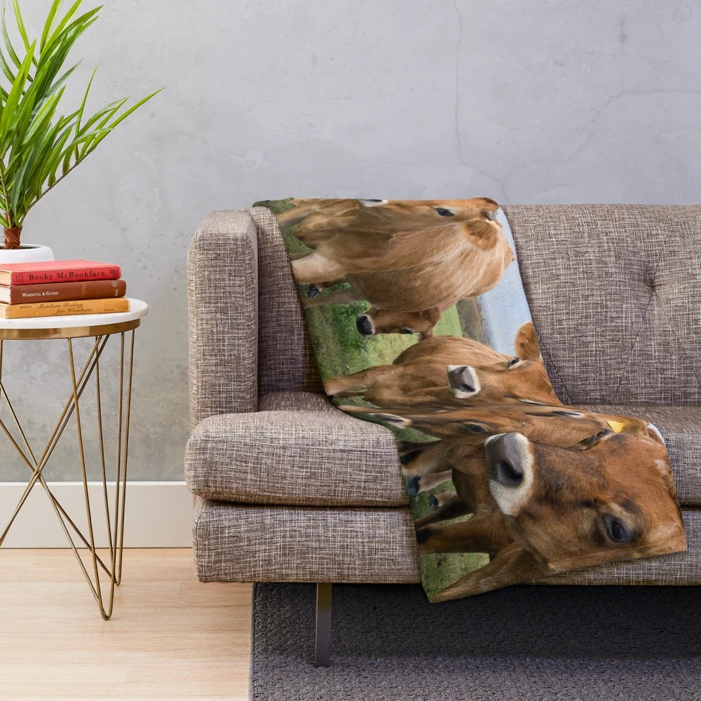 Plush blanket with curious jersey cows design