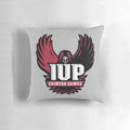 Stylish Hawks Gifts Pillow for Sports Fans