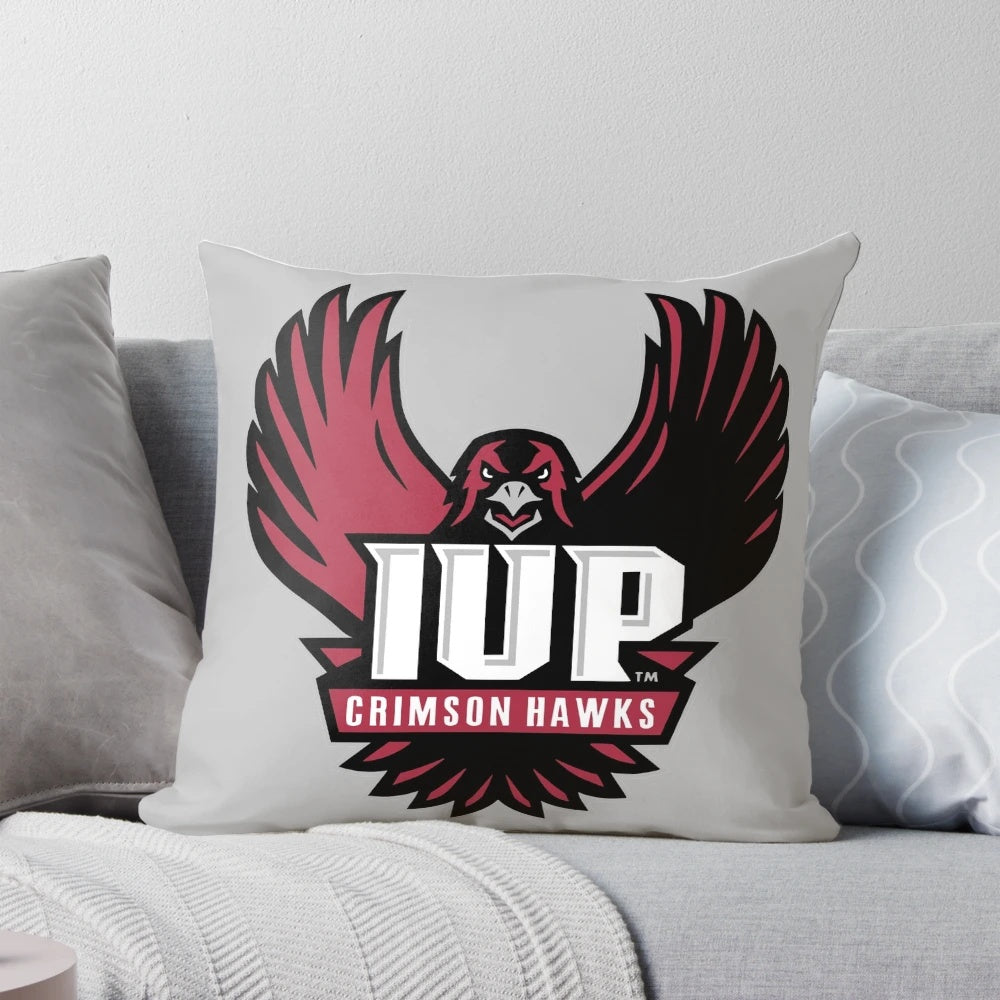 Stylish Hawks Gifts Pillow for Sports Fans