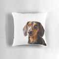 Dachshund-inspired decorative pillow featuring a cute brown dog design