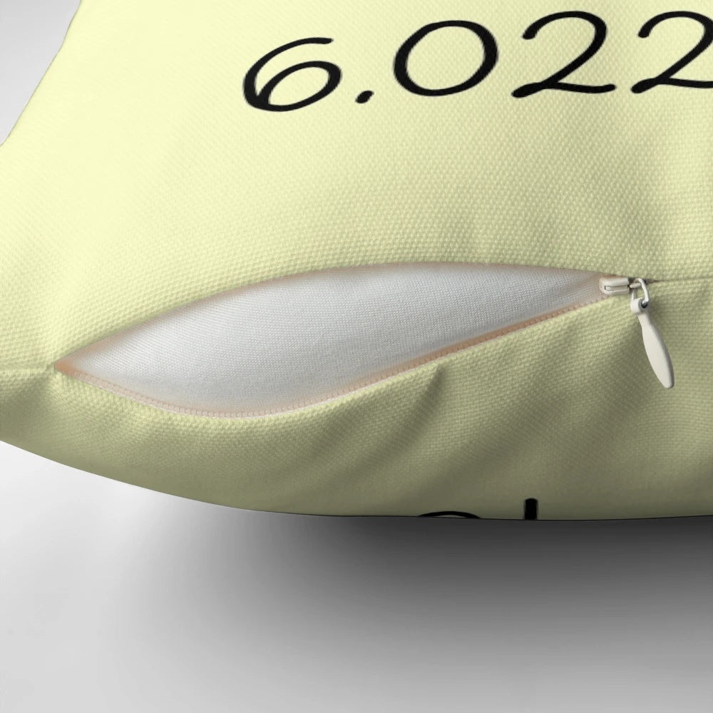 Cute avocado-shaped chemist pillow with Avogadro's number design, perfect for science and chemistry enthusiasts.