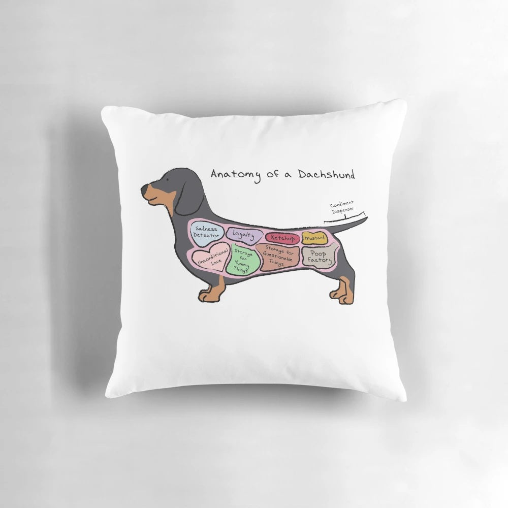 Dachshund Anatomy Pillow featuring the detailed anatomy of a dachshund dog breed