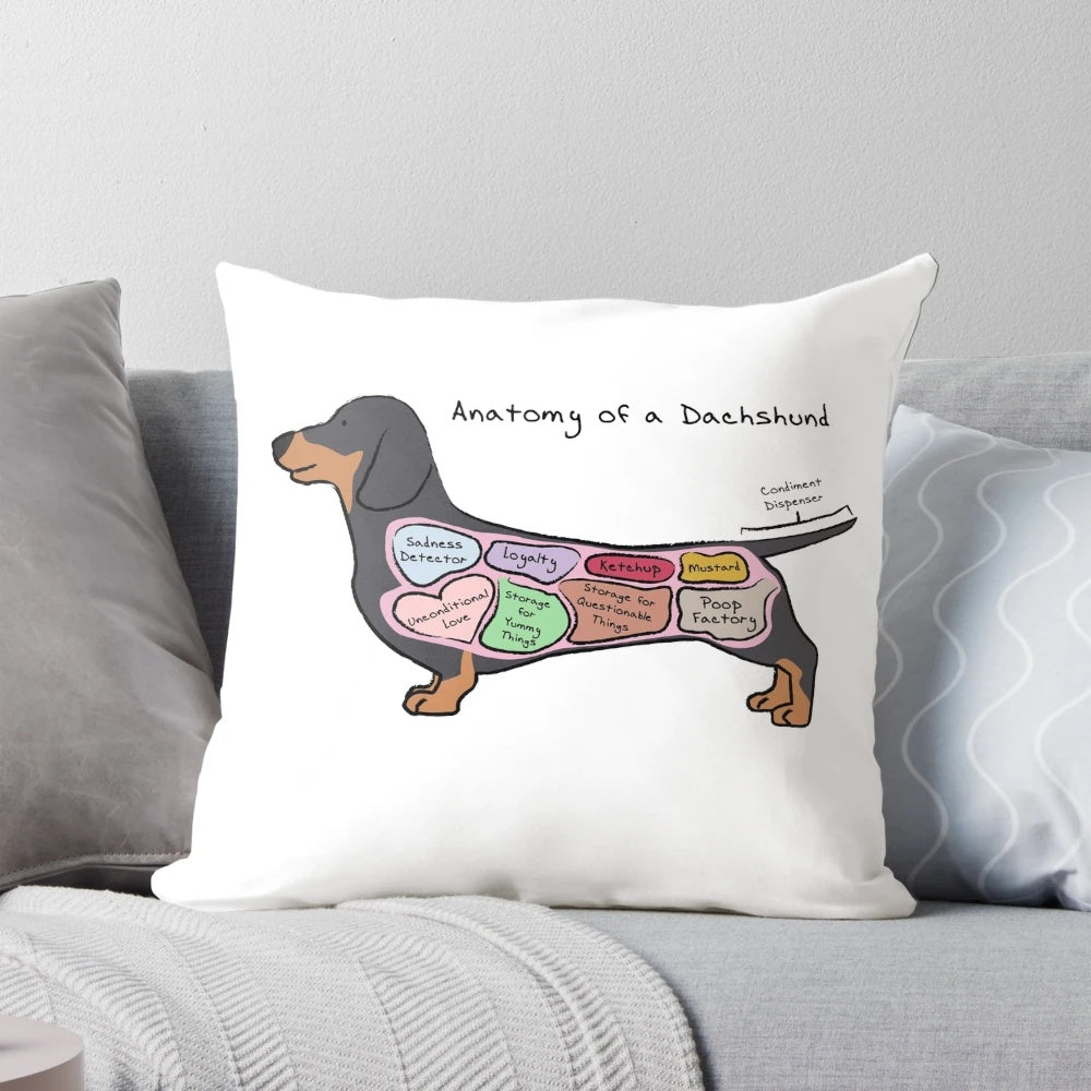 Dachshund Anatomy Pillow featuring the detailed anatomy of a dachshund dog breed