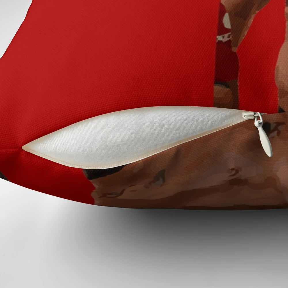 Darwizzy-inspired Liverpool FC pillow featuring the team's rising star, Darwin Nunez