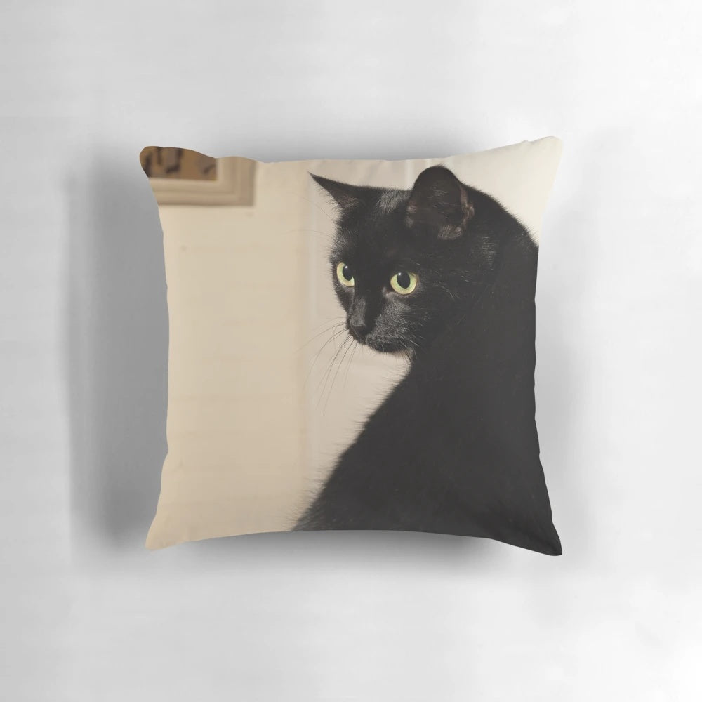 Decorative black cat pillow for cozy home decor