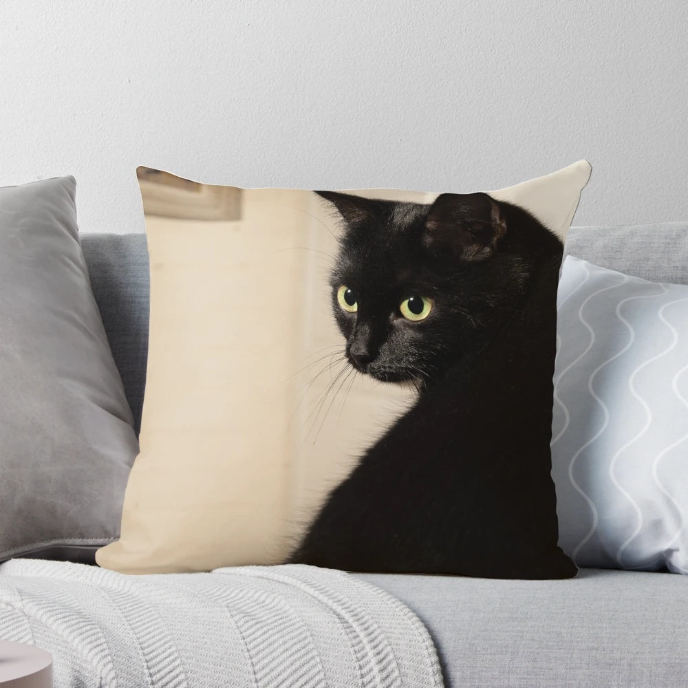 Decorative black cat pillow for cozy home decor