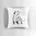 "I AM GOOD KITTY" design on a decorative throw pillow featuring an opossum, possum, or cat