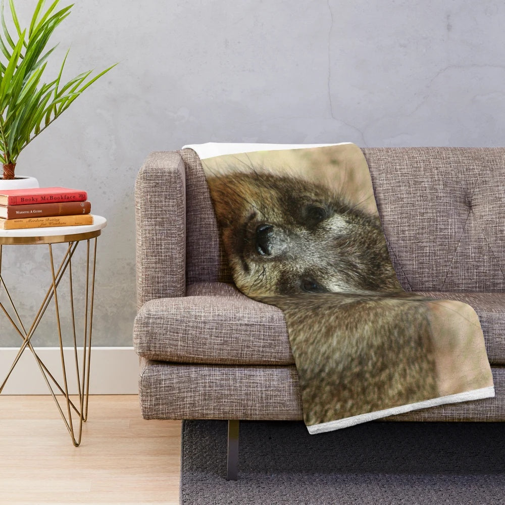 Close-up photo of a rock hyrax on a plush blanket