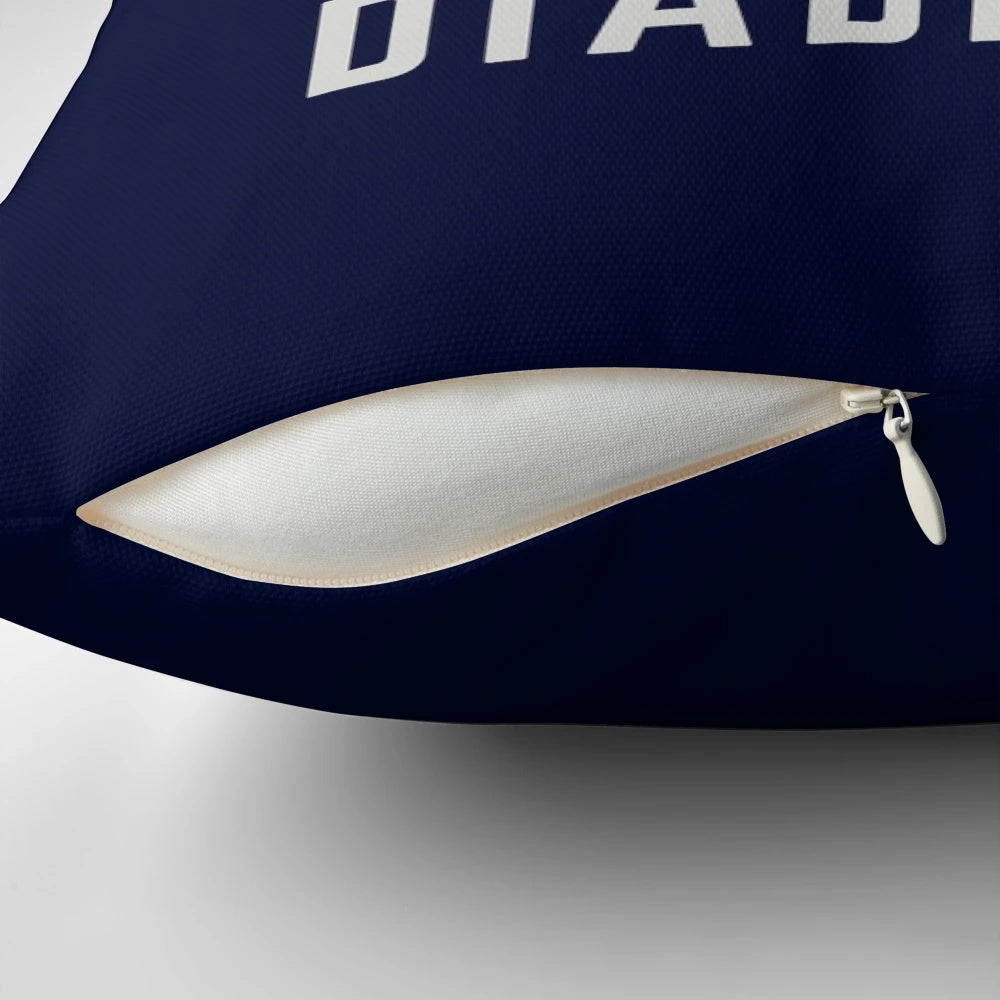 Diabeetus Wilford Brimley Themed Funny Pillow