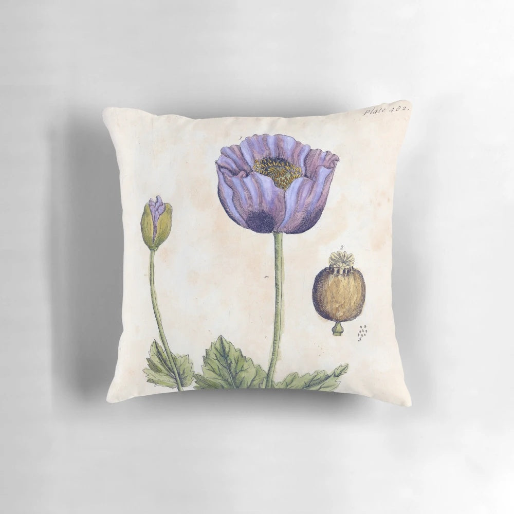 Vibrant black poppy flower from the Lloyd Library and Museum collection
