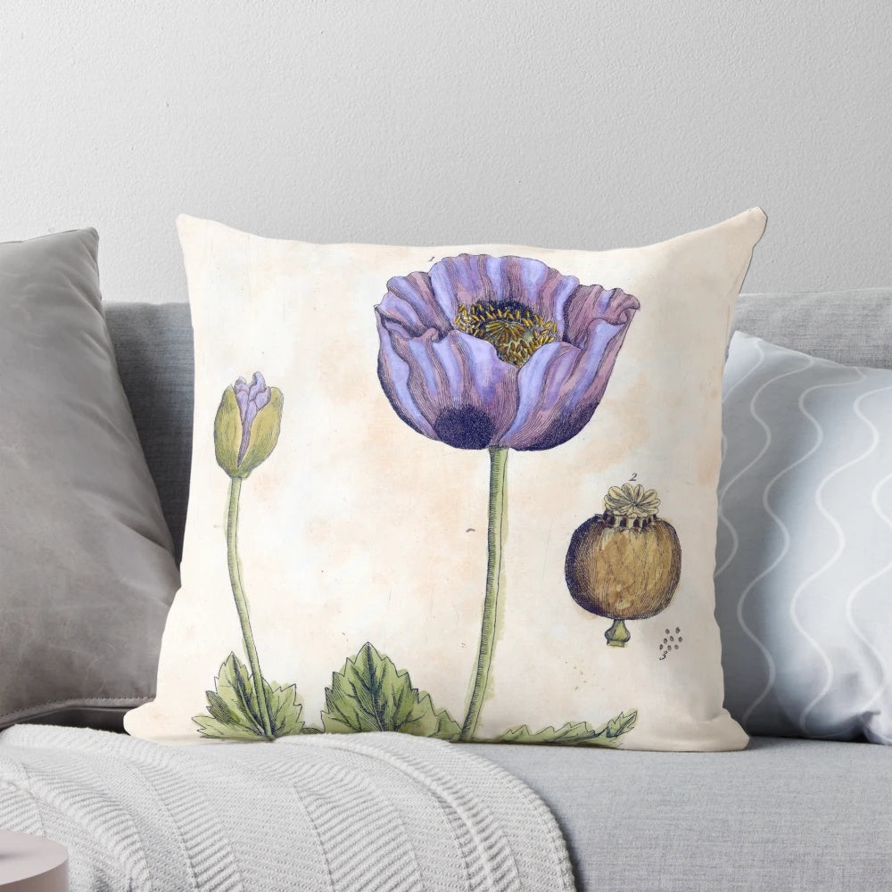 Vibrant black poppy flower from the Lloyd Library and Museum collection