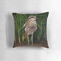 A closeup image of a Bush Stone Curlew, a unique Australian native bird with distinctive features.