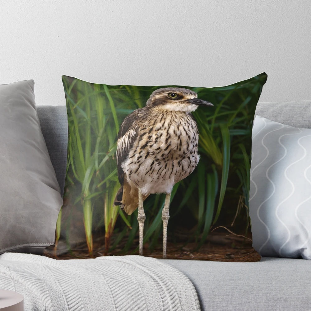 A closeup image of a Bush Stone Curlew, a unique Australian native bird with distinctive features.
